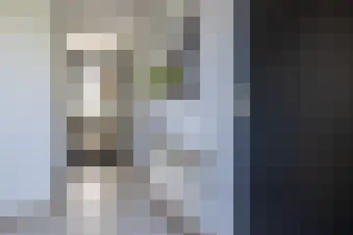 Leermos 10 Reeuwijk thumbnail 21