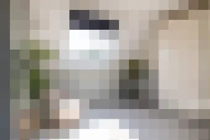 Leermos 10 Reeuwijk thumbnail 36