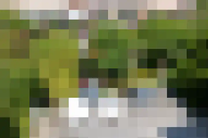 Leermos 10 Reeuwijk thumbnail 42