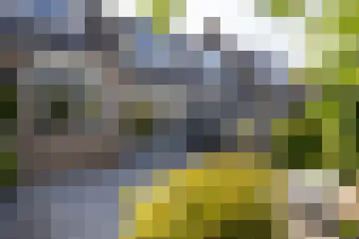 Leermos 10 Reeuwijk thumbnail 43