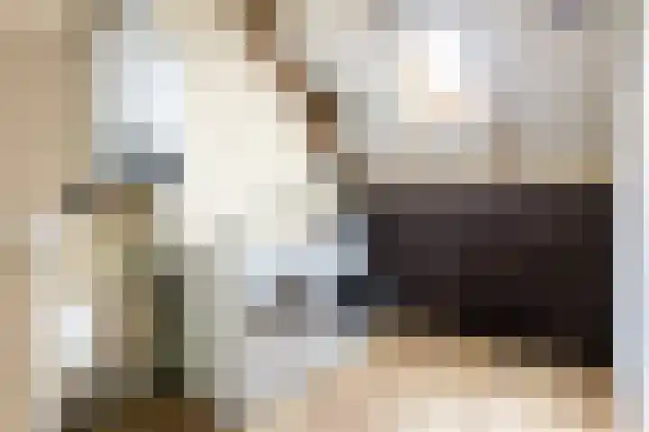Leermos 30 Reeuwijk thumbnail 32