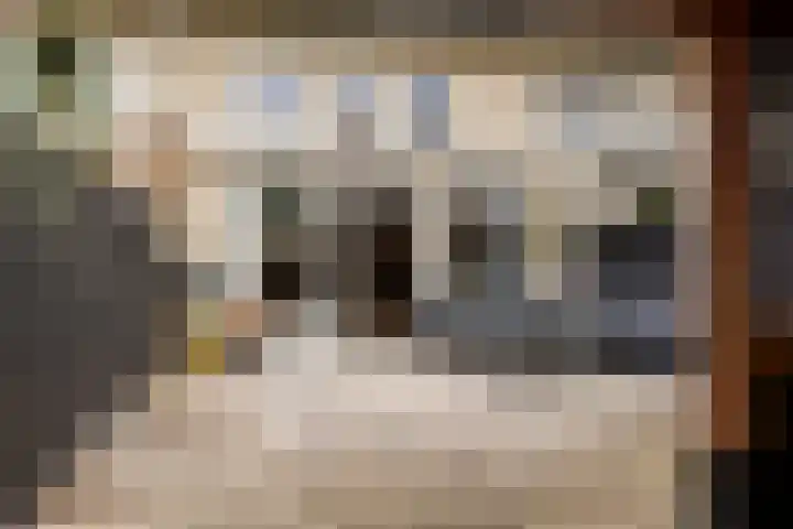 Leermos 30 Reeuwijk thumbnail 39