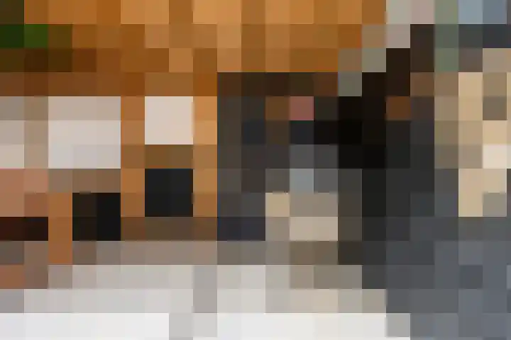 Leermos 30 Reeuwijk thumbnail 42