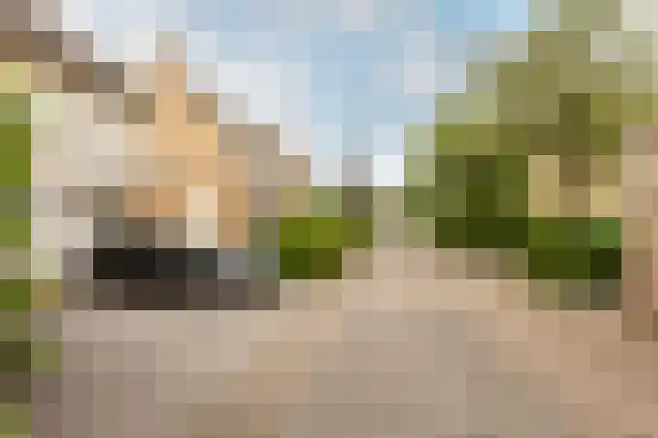Leermos 30 Reeuwijk thumbnail 46