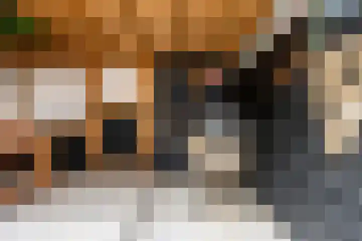 Leermos 30 Reeuwijk thumbnail 6
