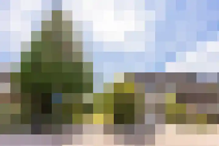 Leermosstraat 42 Almere thumbnail 49