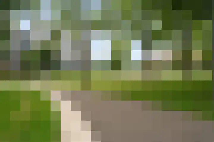 Leerparkpromenade 131 Dordrecht thumbnail 35