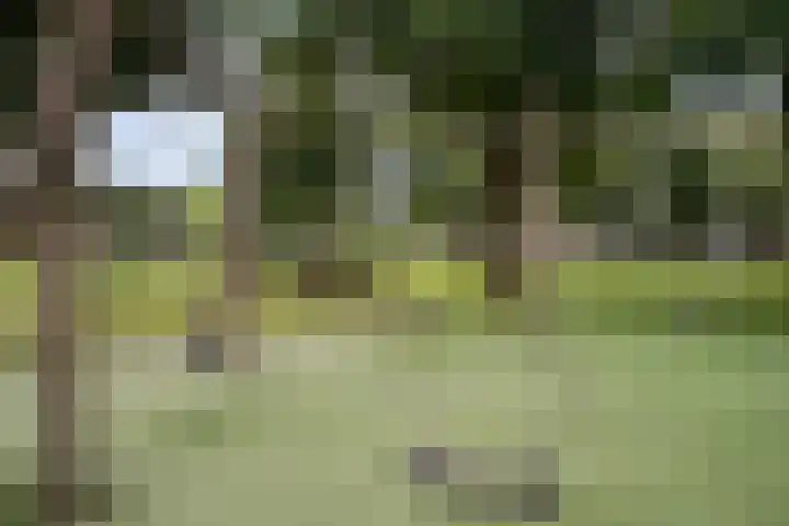 Leerparkpromenade 146 Dordrecht thumbnail 45