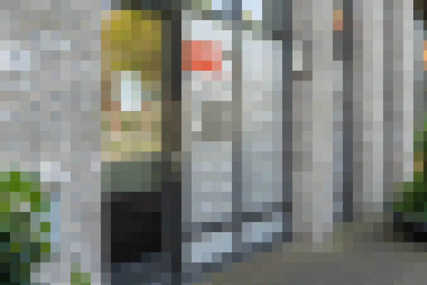Leerparkpromenade 170 Dordrecht thumbnail 43