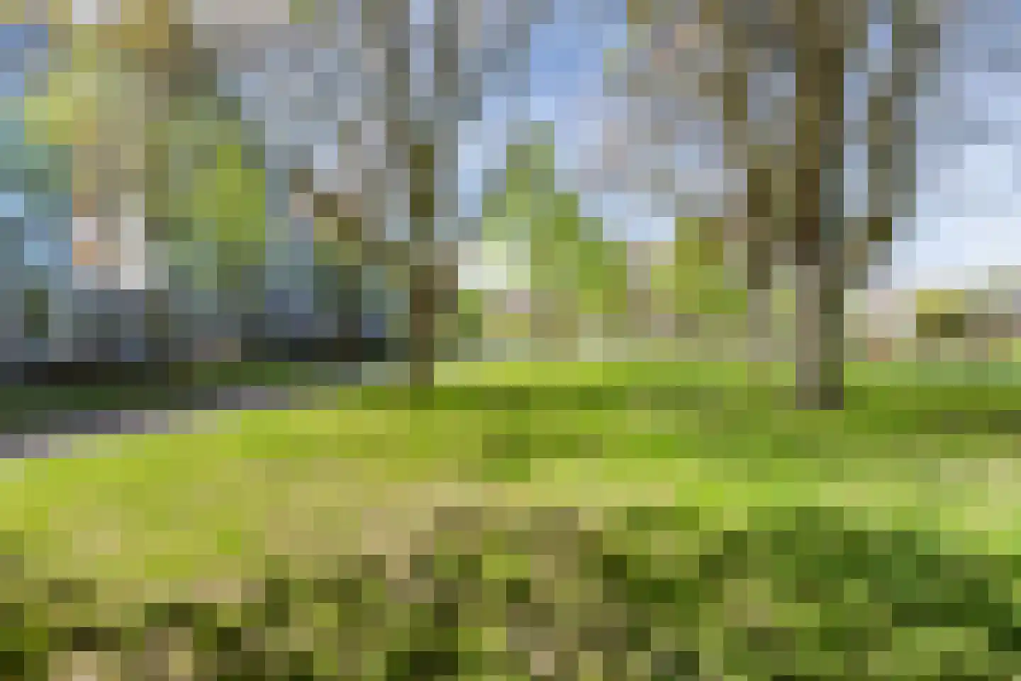 Leerparkpromenade 170 Dordrecht thumbnail 49