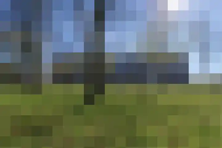 Leerparkpromenade 217 in Dordrecht