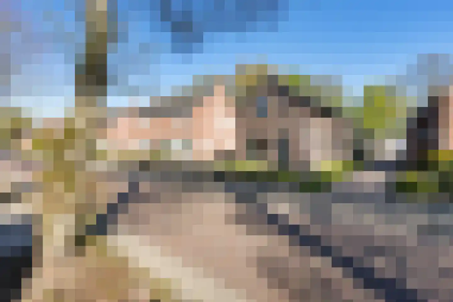 Leerparkpromenade 217 Dordrecht thumbnail 15