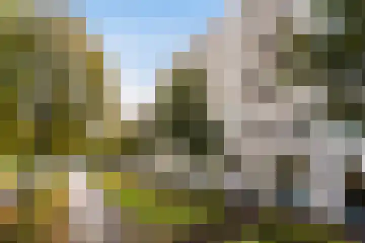 Leerparkpromenade 275 Dordrecht thumbnail 45