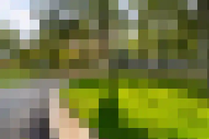 Leerparkpromenade 275 Dordrecht thumbnail 47