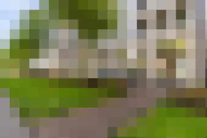 Leerparkpromenade 284 Dordrecht thumbnail 59