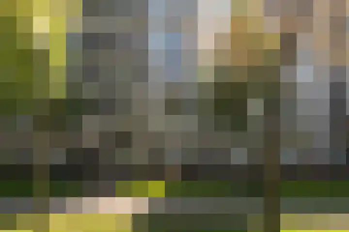 Leerparkpromenade 284 Dordrecht thumbnail 62