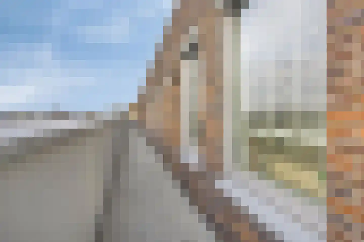 Leerparkpromenade 383 Dordrecht thumbnail 23