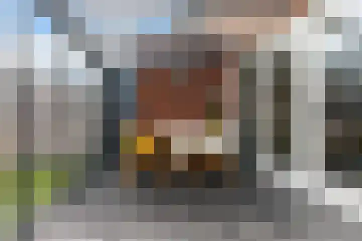Leerschaar 17 Kaatsheuvel thumbnail 13