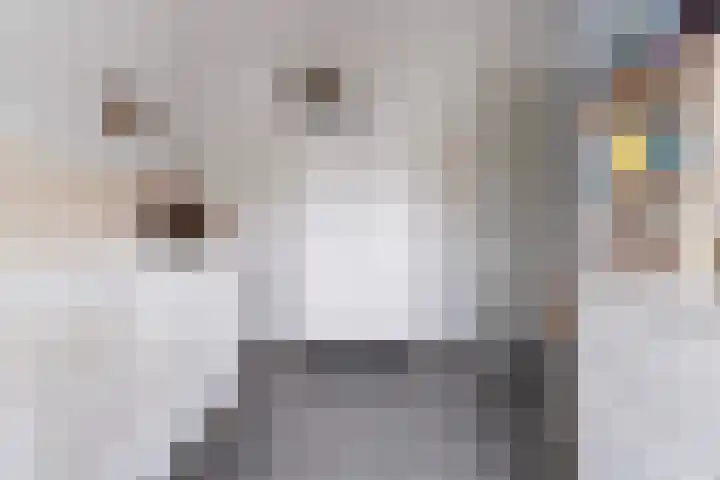 Leerschaar 17 Kaatsheuvel thumbnail 19