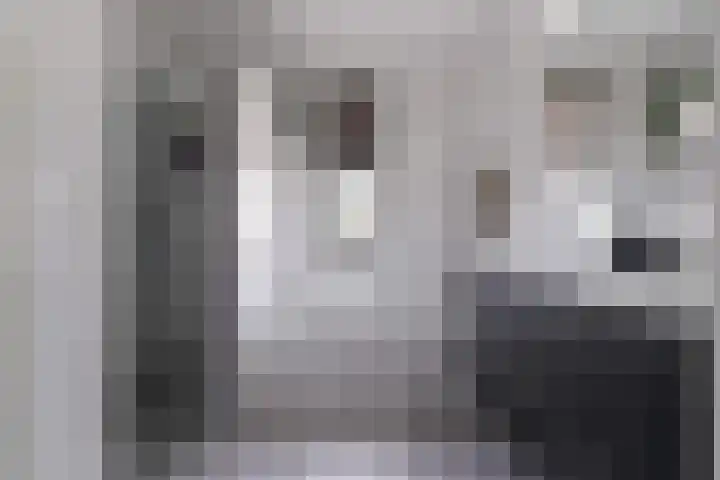 Leerschaar 17 Kaatsheuvel thumbnail 21
