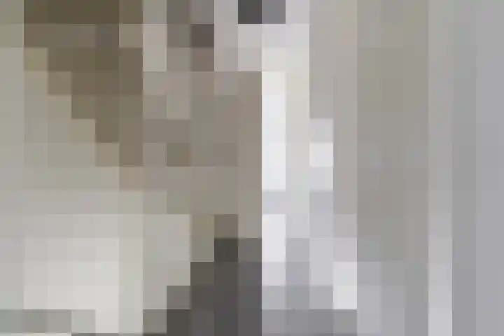 Leerschaar 17 Kaatsheuvel thumbnail 24