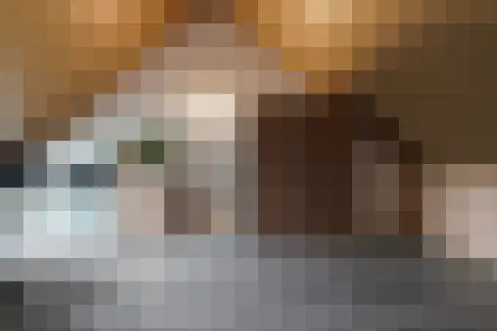 Leerschaar 17 Kaatsheuvel thumbnail 25