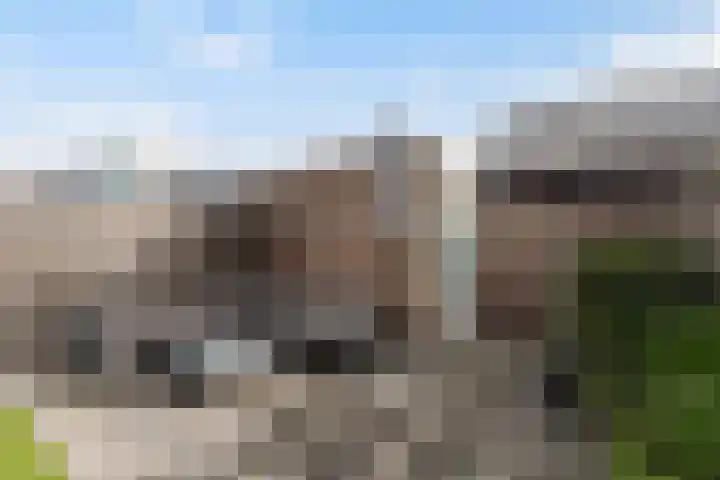 Leerschaar 17 Kaatsheuvel thumbnail 31