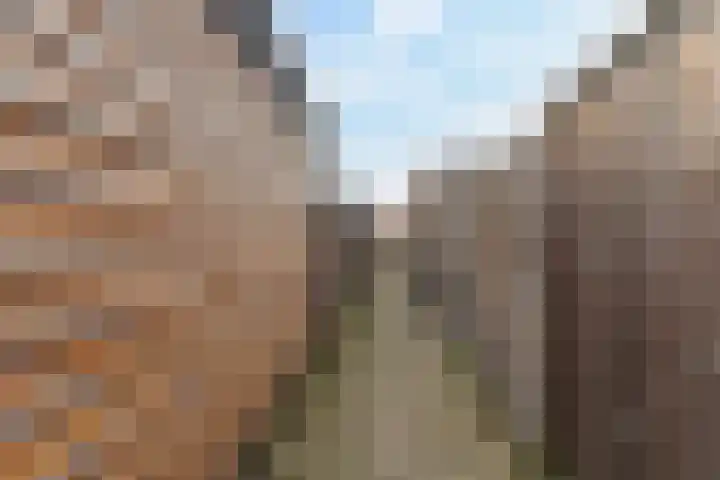 Leerschaar 17 Kaatsheuvel thumbnail 32
