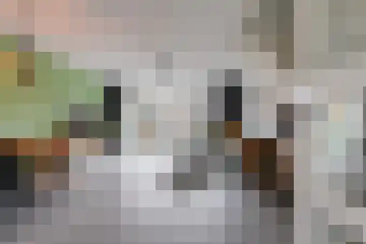 Leerschaar 17 Kaatsheuvel thumbnail 6