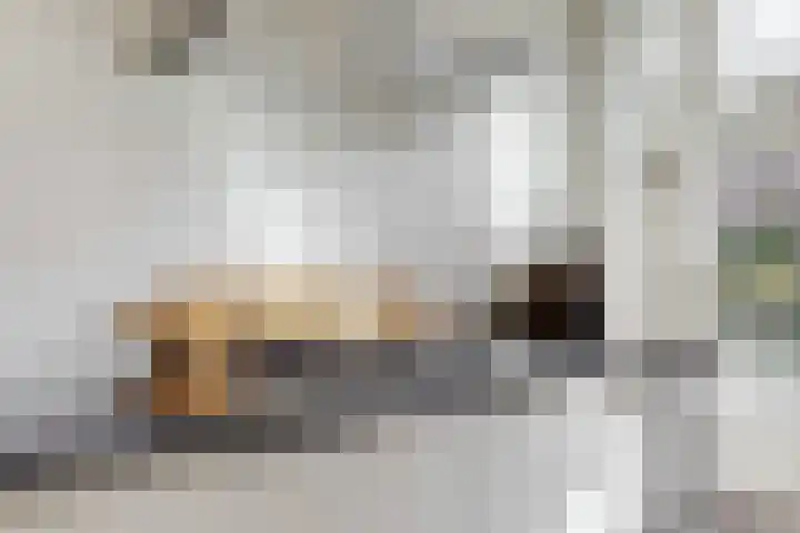 Leersumse Veld 11 Vleuten thumbnail 15