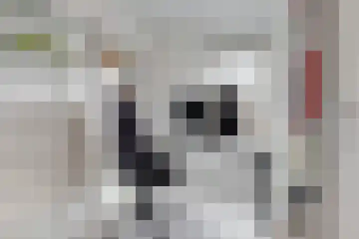 Leersumse Veld 11 Vleuten thumbnail 16