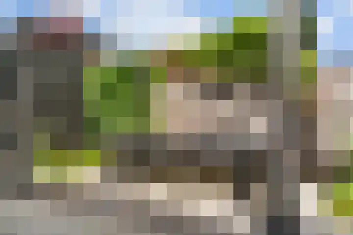 Leersumse Veld 11 Vleuten thumbnail 32