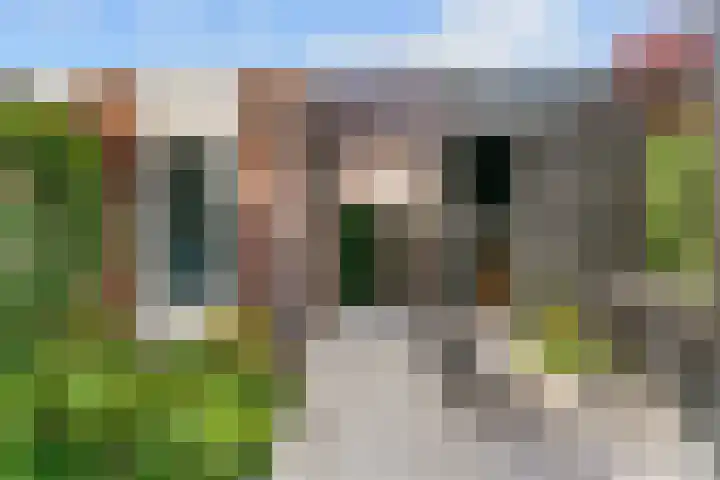 Leersumse Veld 11 Vleuten thumbnail 34