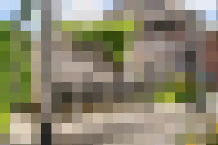 Leersumse Veld 11 Vleuten thumbnail 35