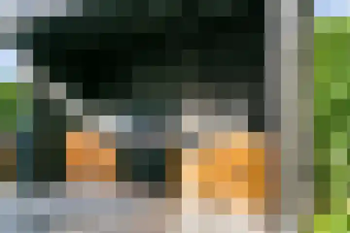 Leersumse Veld 11 Vleuten thumbnail 38
