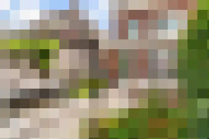 Leersumse Veld 11 Vleuten thumbnail 41