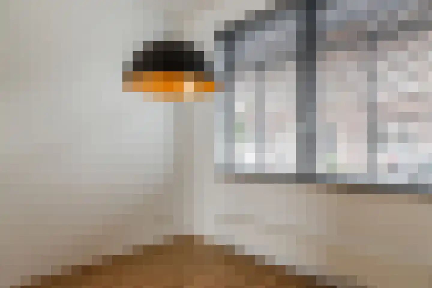 Leersumse Veld 30 Vleuten thumbnail 7