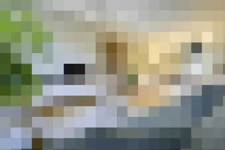 Leersumse Veld 31 Vleuten thumbnail 11