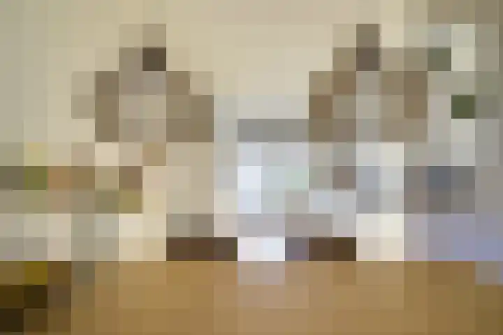 Leersumse Veld 31 Vleuten thumbnail 12