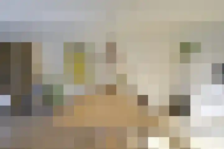 Leersumse Veld 31 Vleuten thumbnail 15