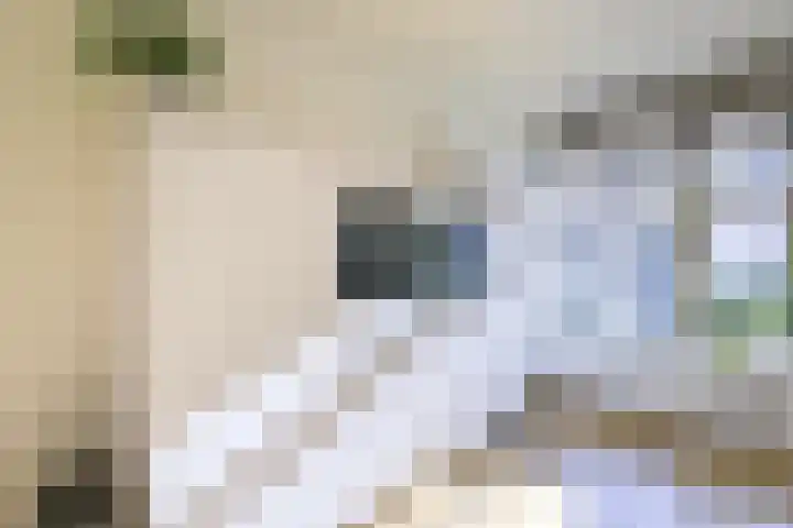 Leersumse Veld 31 Vleuten thumbnail 16