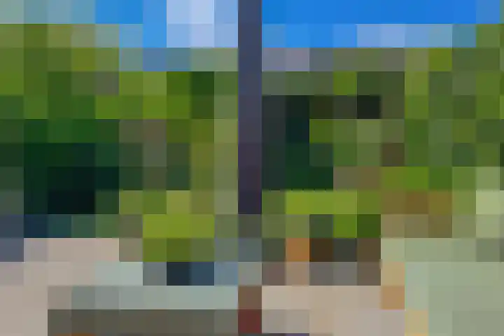 Leersumse Veld 31 Vleuten thumbnail 22