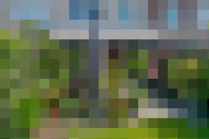 Leersumse Veld 31 Vleuten thumbnail 23