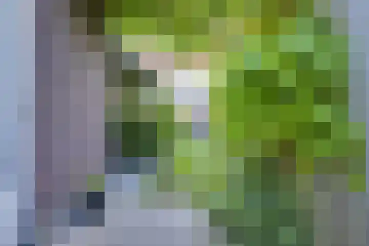 Leersumse Veld 31 Vleuten thumbnail 26
