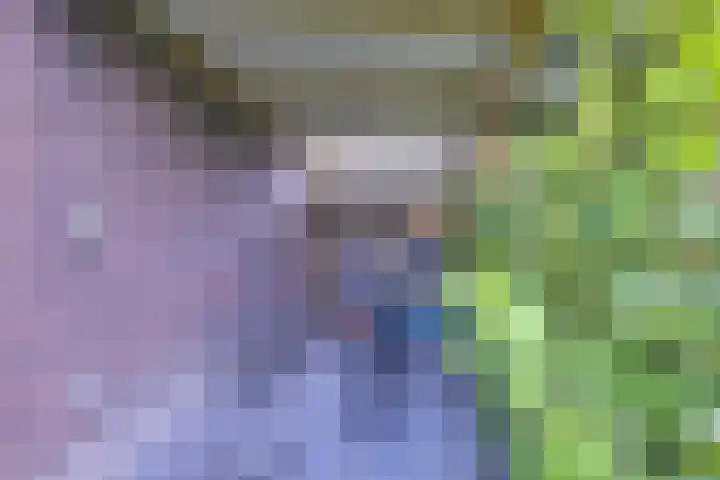 Leersumse Veld 31 Vleuten thumbnail 27