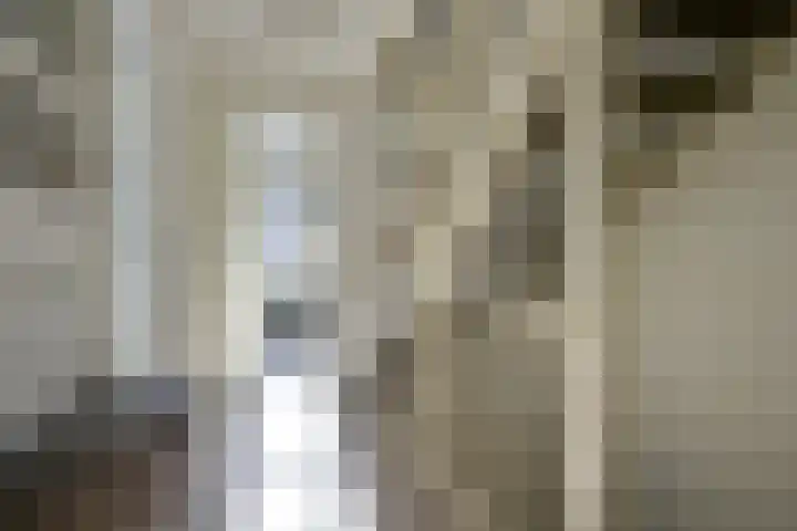 Leersumse Veld 31 Vleuten thumbnail 28