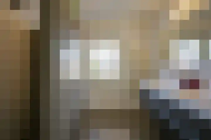 Leersumse Veld 31 Vleuten thumbnail 34