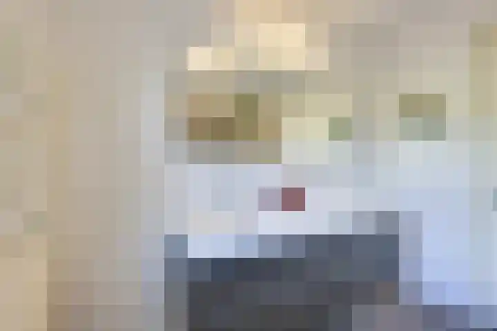 Leersumse Veld 31 Vleuten thumbnail 36
