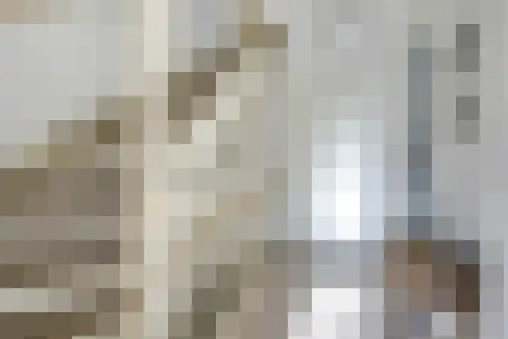 Leersumse Veld 31 Vleuten thumbnail 42