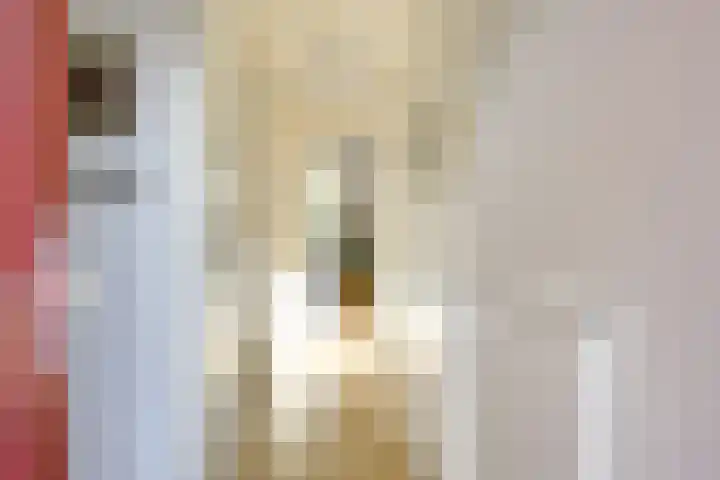 Leersumse Veld 31 Vleuten thumbnail 8